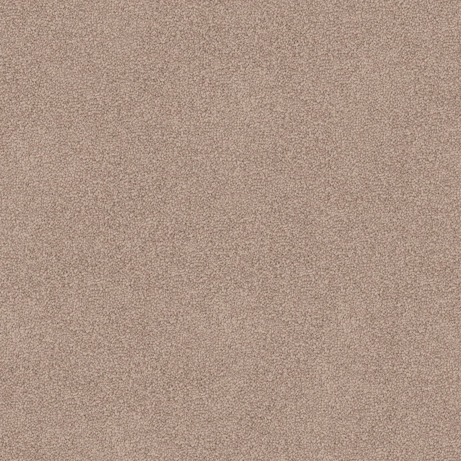 Infatuation — 14 STONE BEIGE