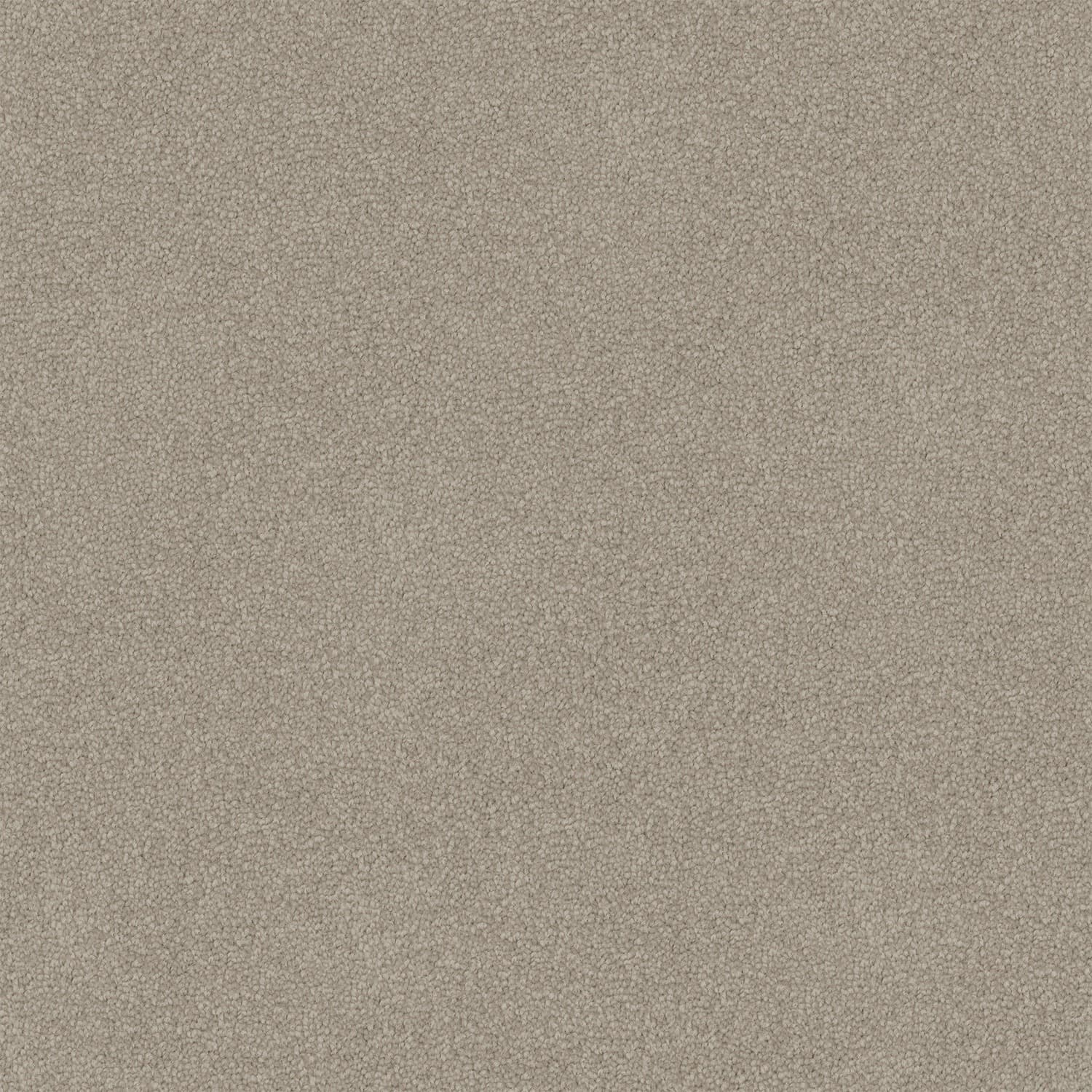 Nightfall — 14 Scroll Beige