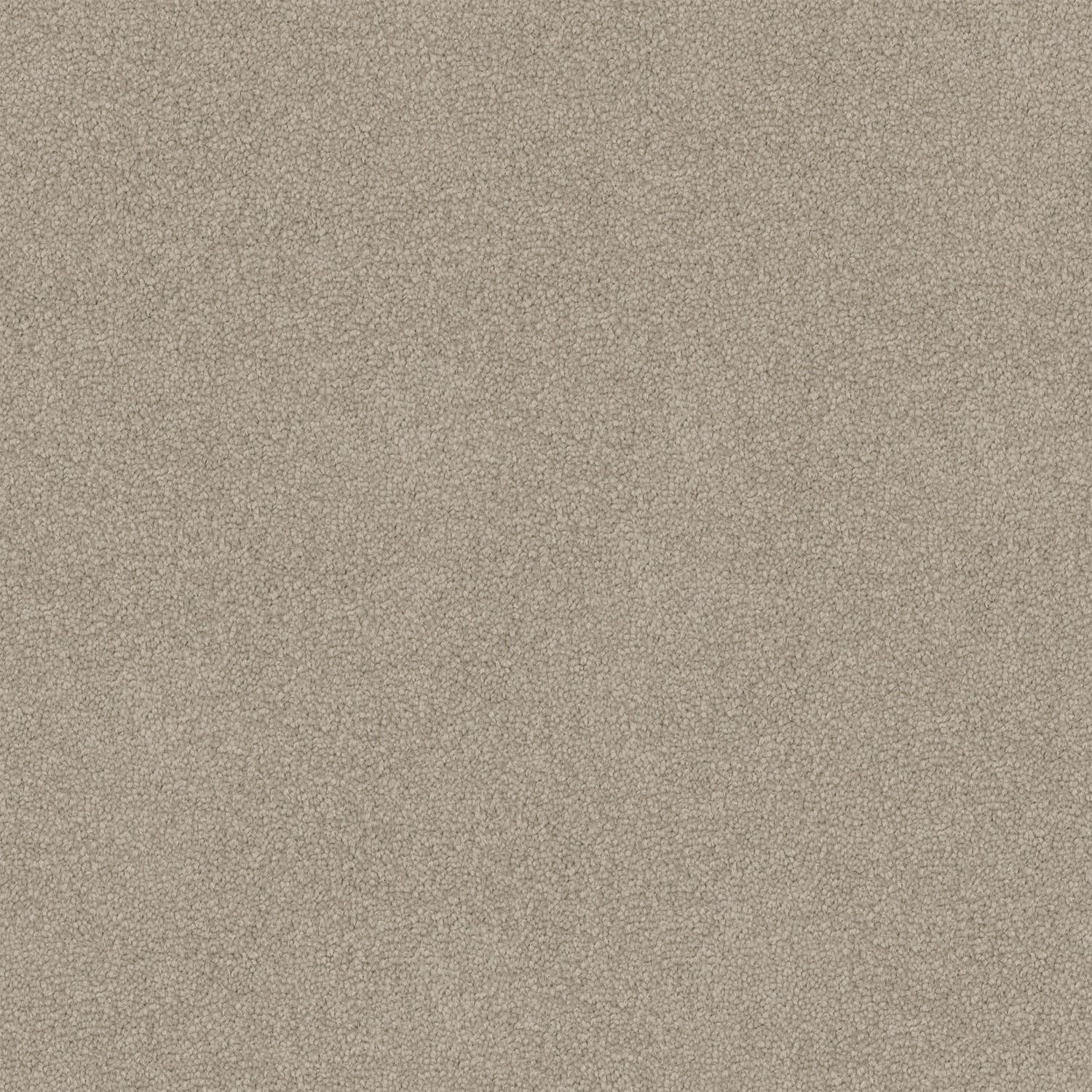 Infatuation — 16 AGED SUEDE