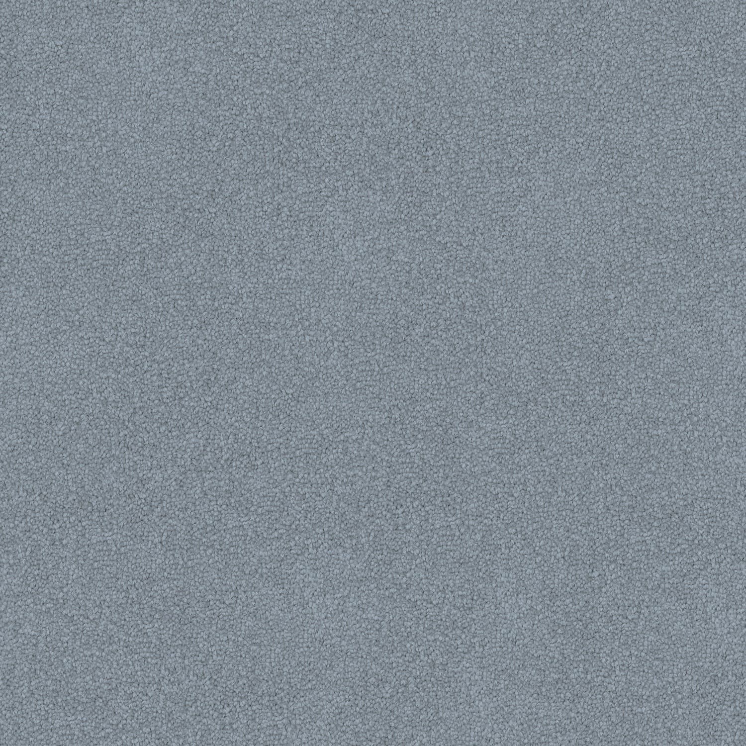 Infatuation — 31 Blue Heather