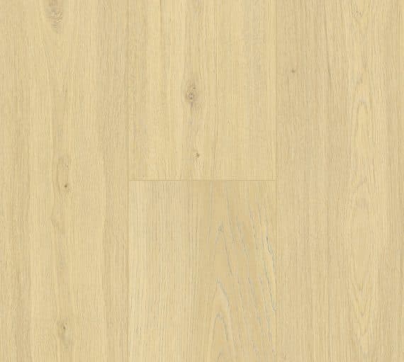 Pinaco NextGen — 5503 570x511 1