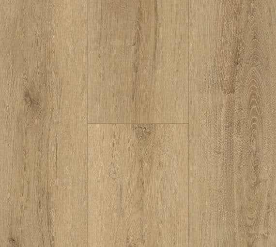 Pinaco NextGen — 5504 570x511 1