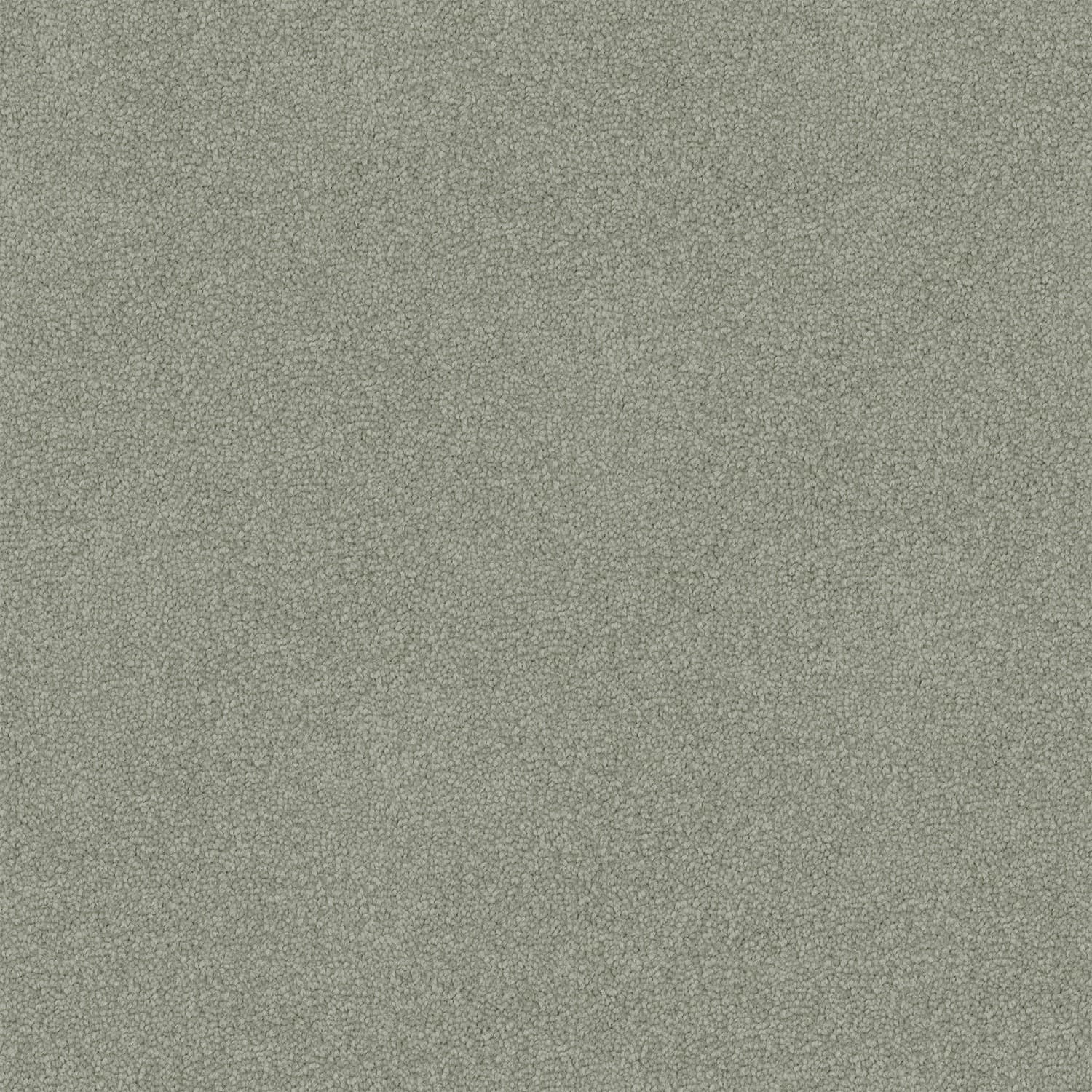 feltex Dawn Rise — 75 Basil