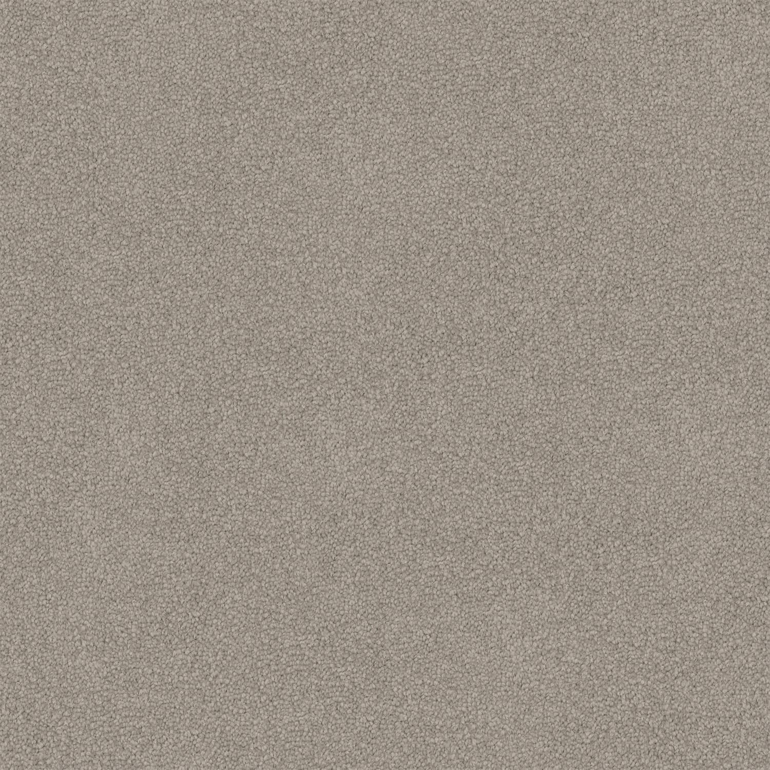 Infatuation — 93 Dusty Grey
