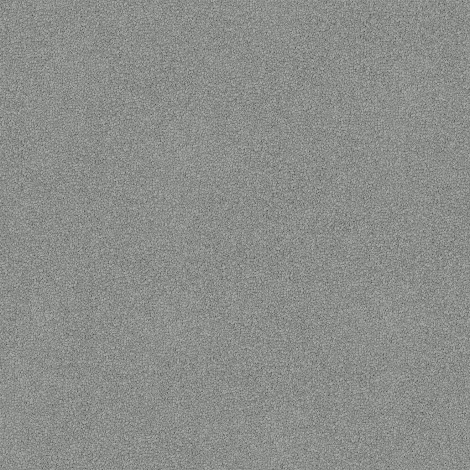 Nightfall — 93 Silver