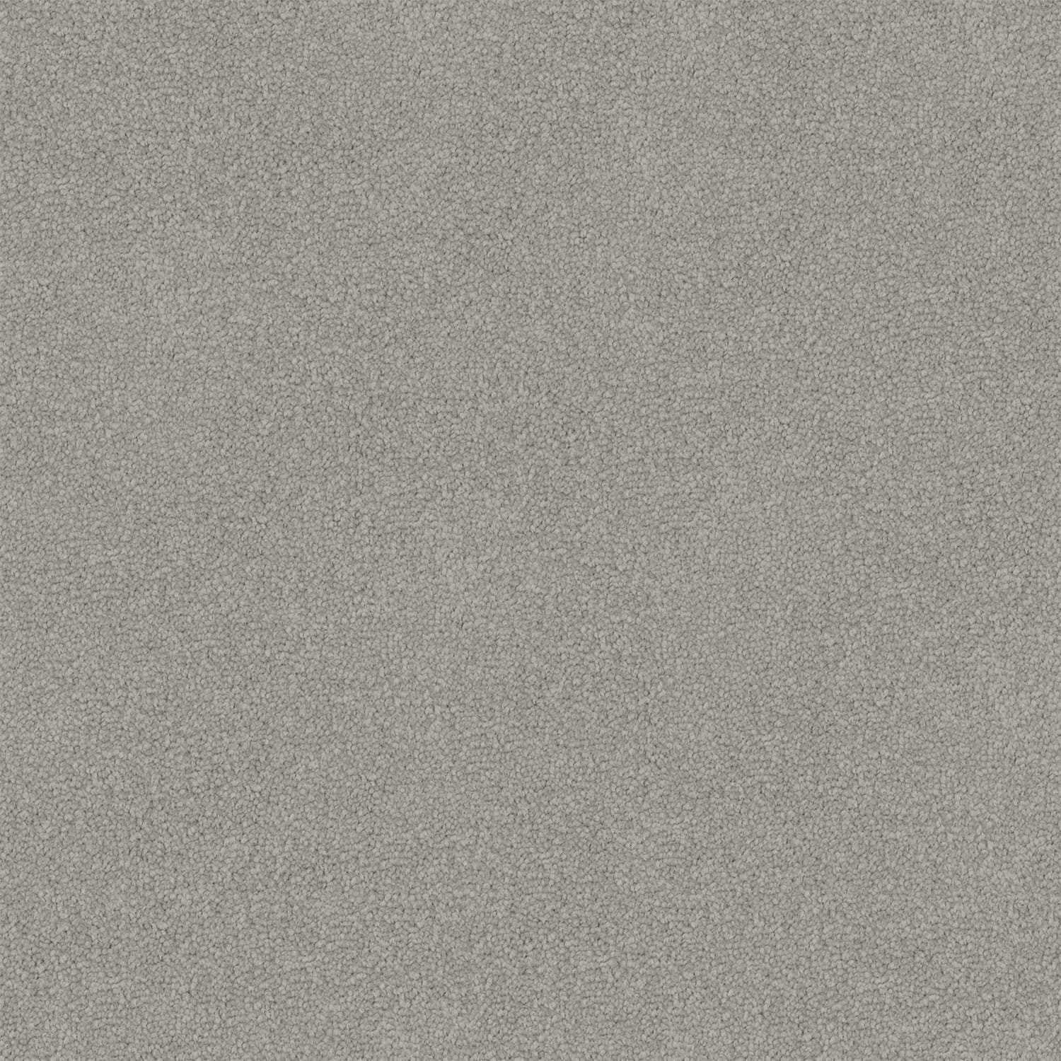 Nightfall — 95 Grey Haze