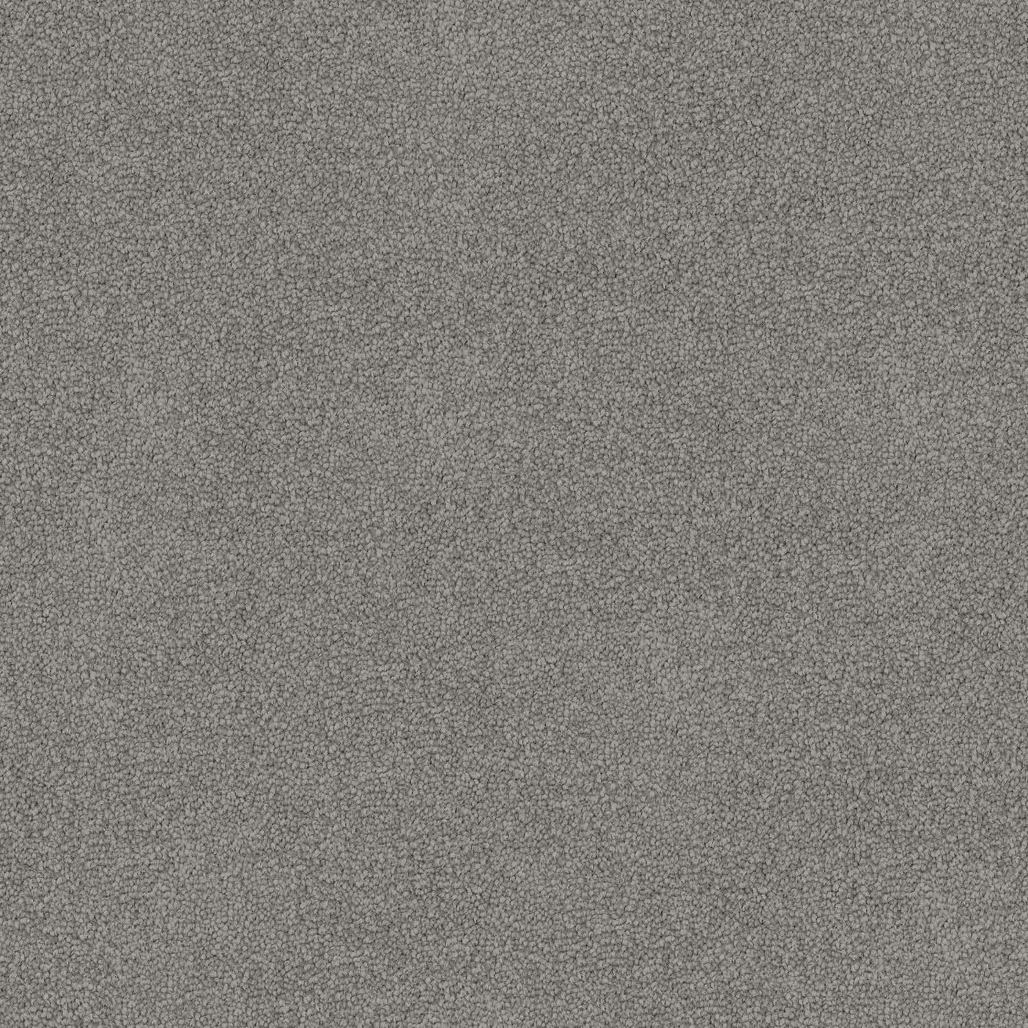 Nightfall — 97 Grey Cement
