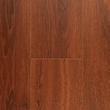 Pinaco Delication /Laminate — Annata