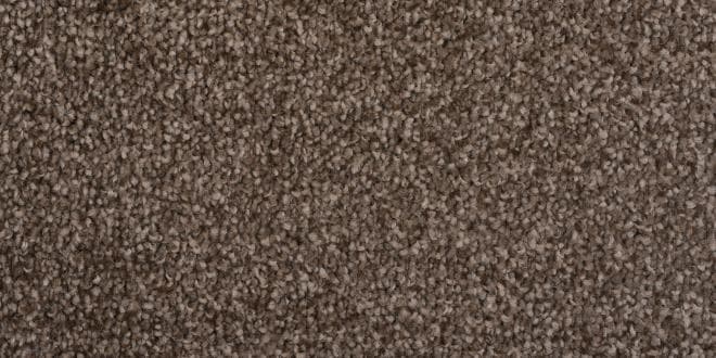 Advantage: Salsa — Autumn 660x330 1