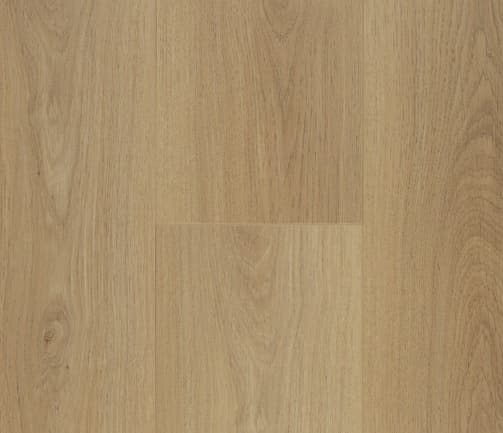 Pinaco selection 12mm/Laminate — Behaney