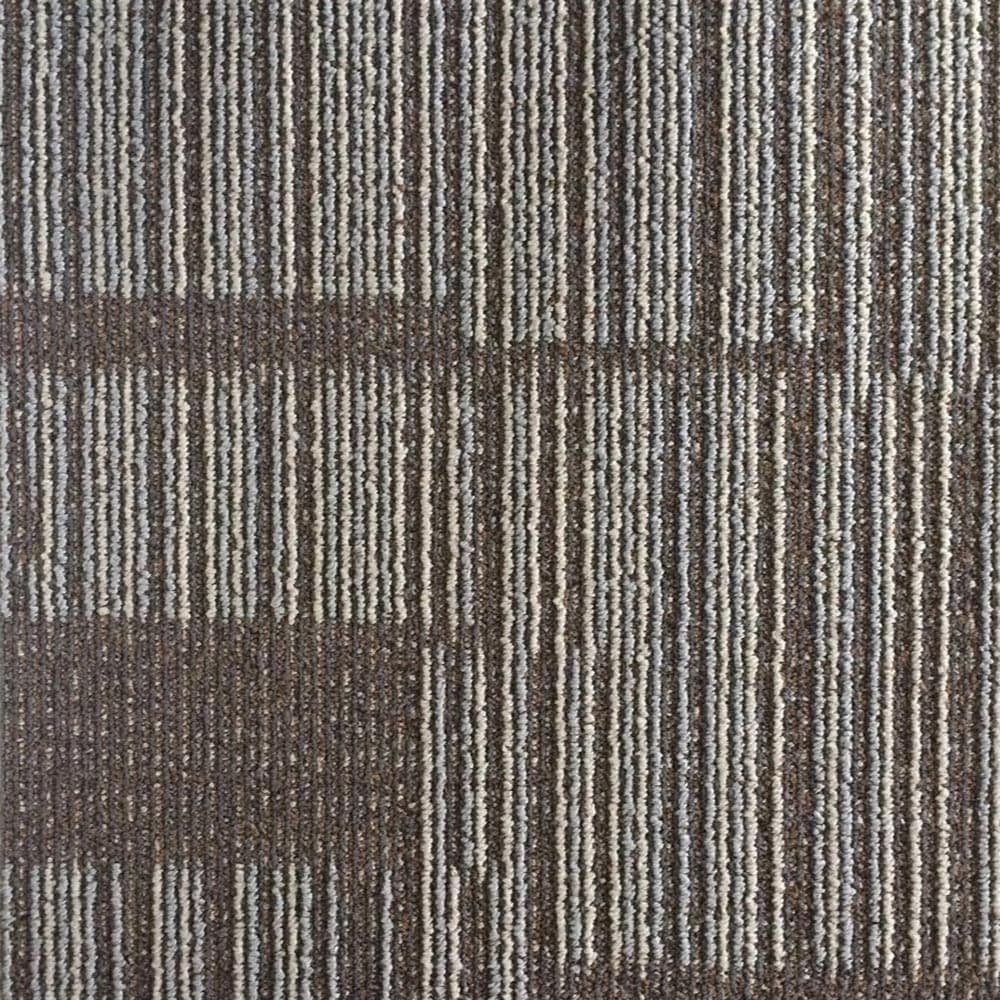 Como Collection — Canterbury