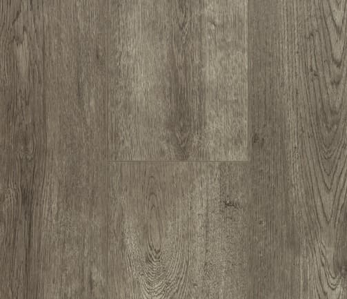 Pinaco Delication /Laminate — Carbo
