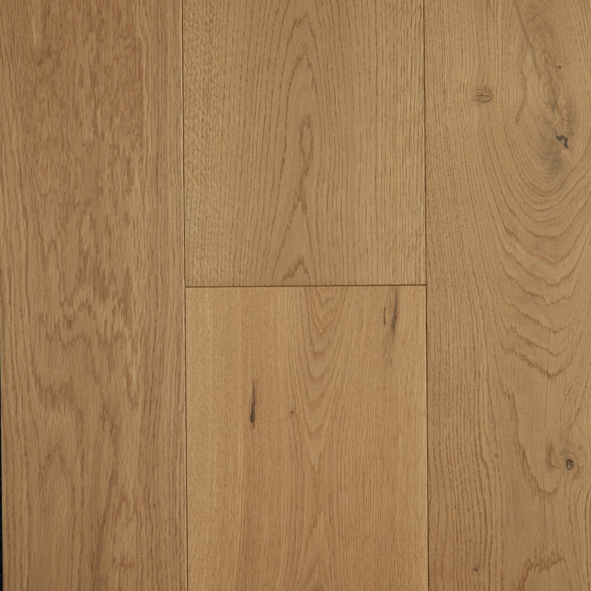 Timber flooring : Preference floors — Champagne 1200x1200 1