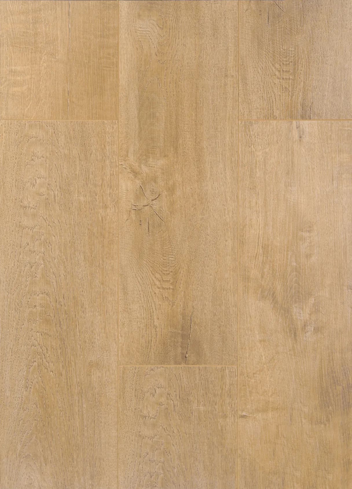 Big panda: laminate 12.3mm — Chestnut 90031 5