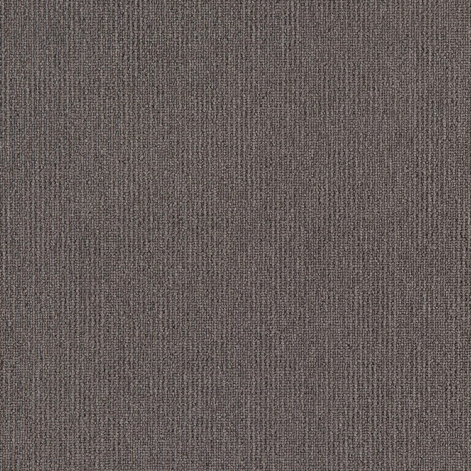 Elegance — Coast