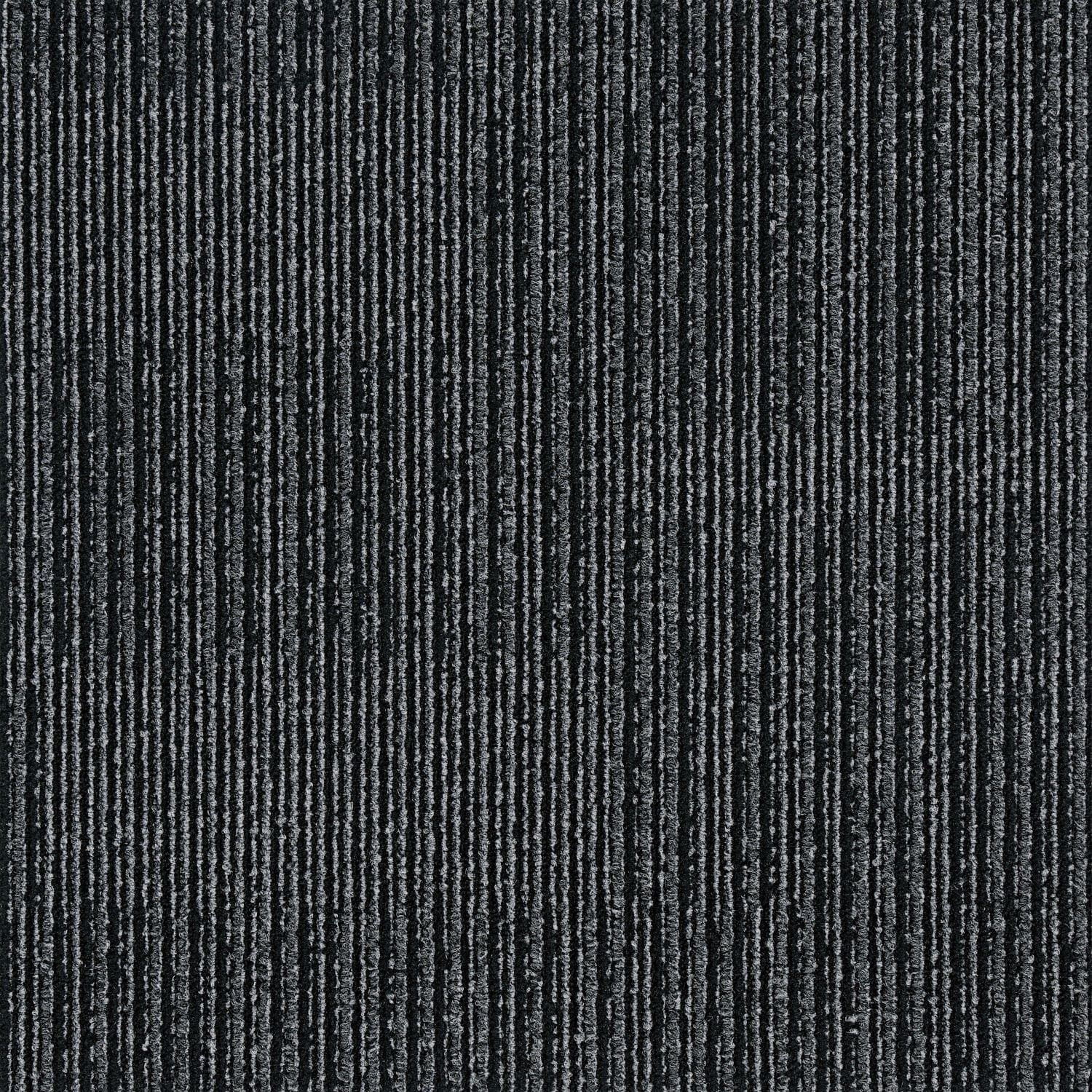 Como Collection — Como Surrey Hills 1sm