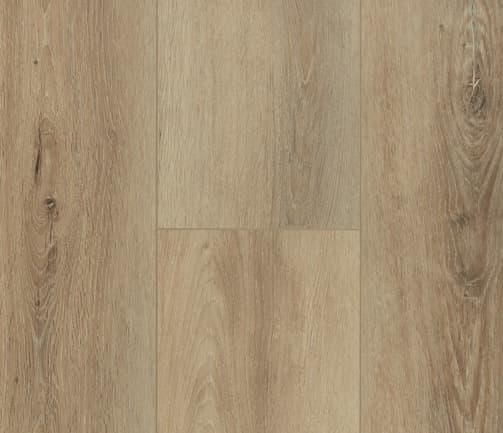 Pinaco Delication /Laminate — Diva