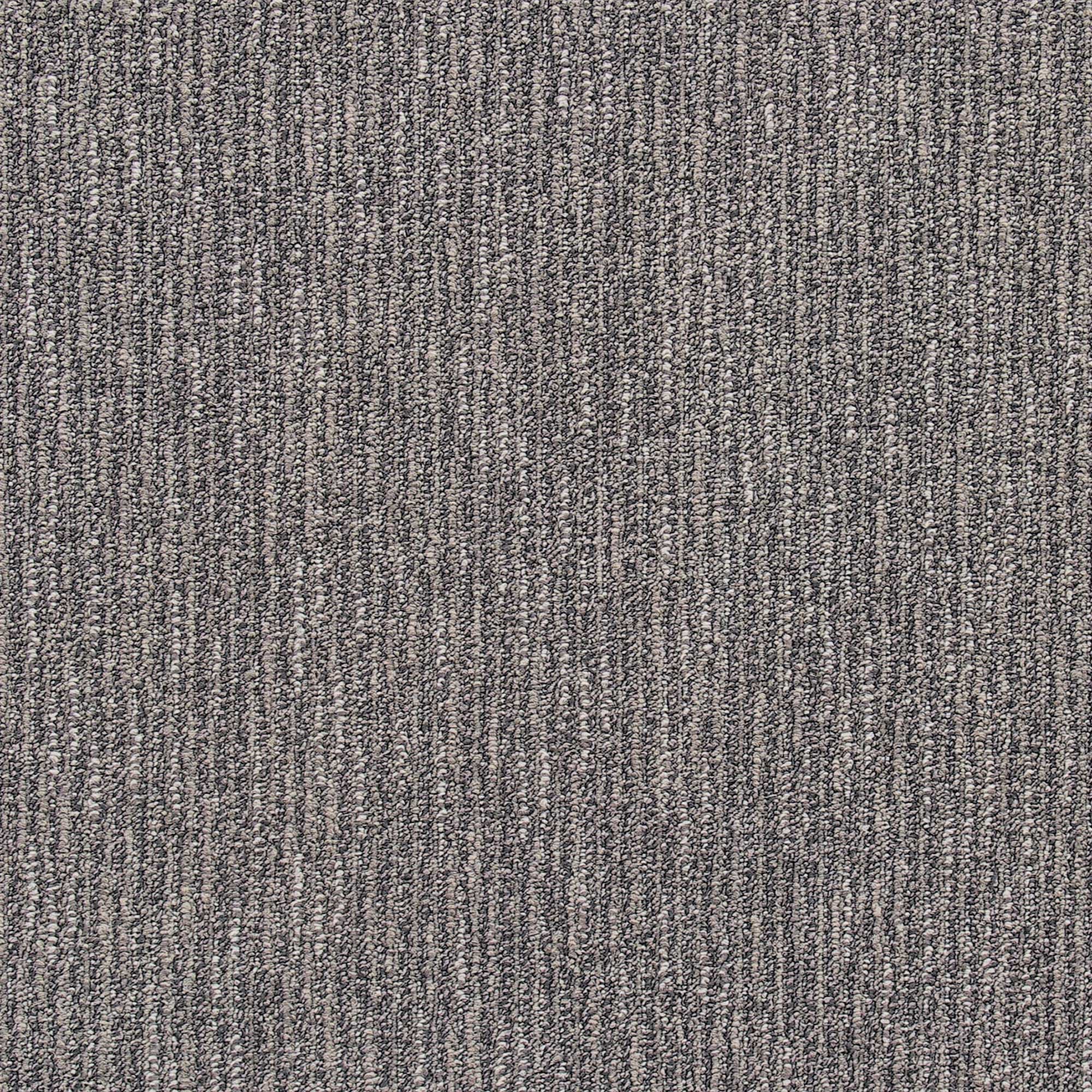 Altitude Collection — Elevation