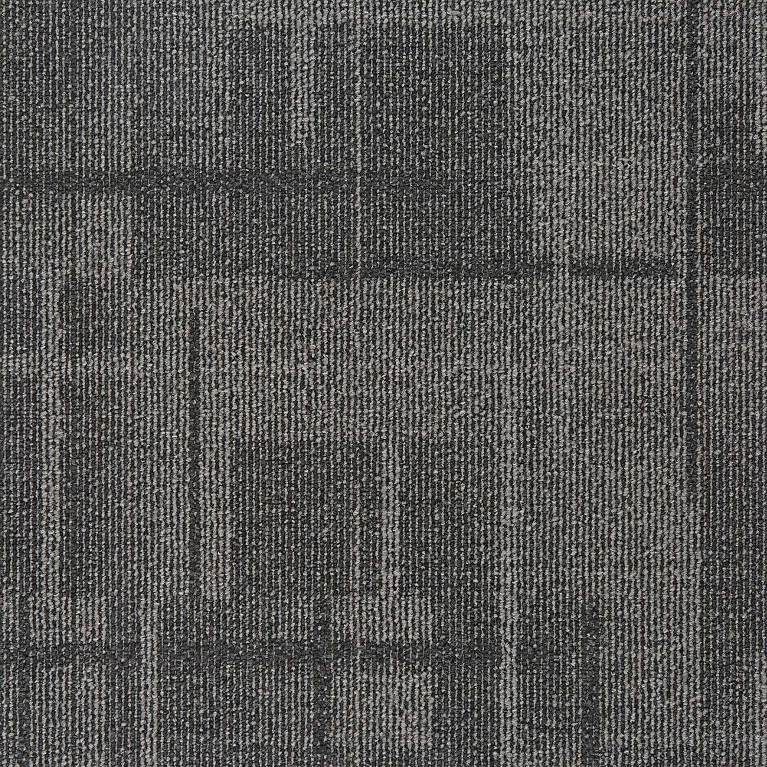 Dynamic Collection — Energy 1 New