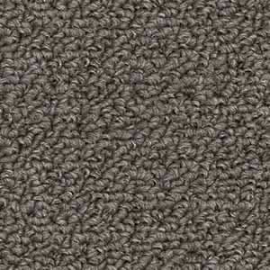 Revolution — Funghi