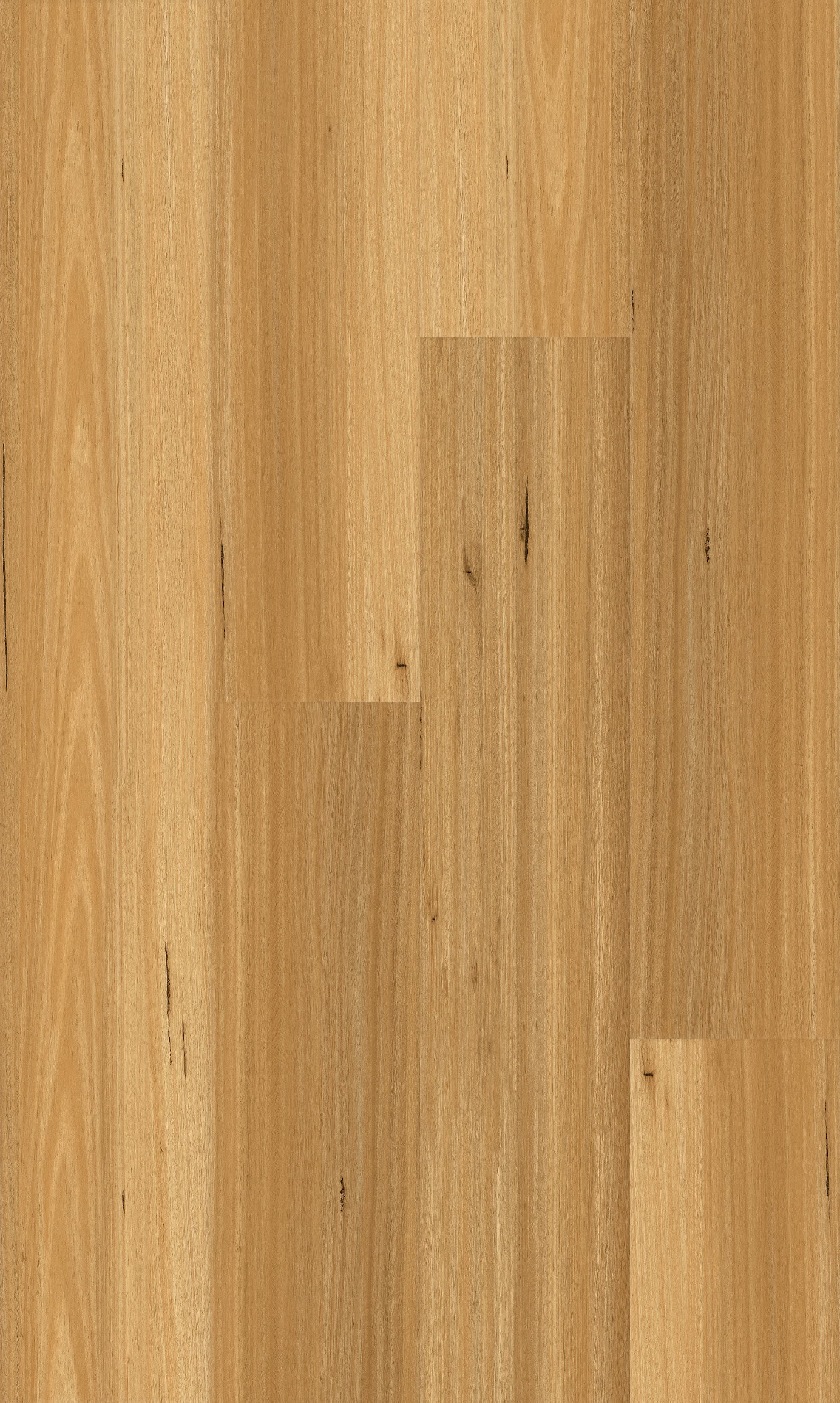 8.5 MM GORKHA HYBRID — GF 201 NSW Blackbutt1