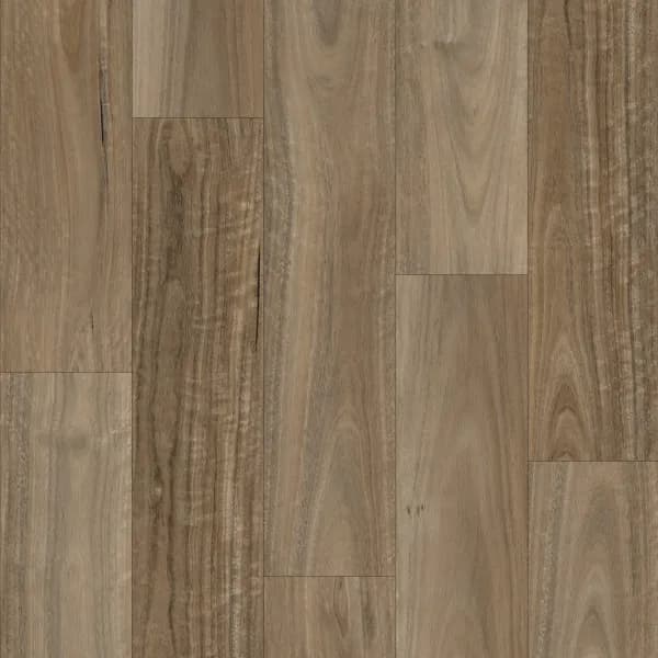 Ornato Grande 9.0 — Ghost Gum Swatch