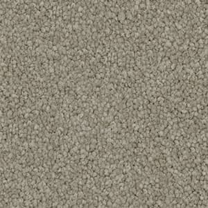 Darling Cove — Grey Tint