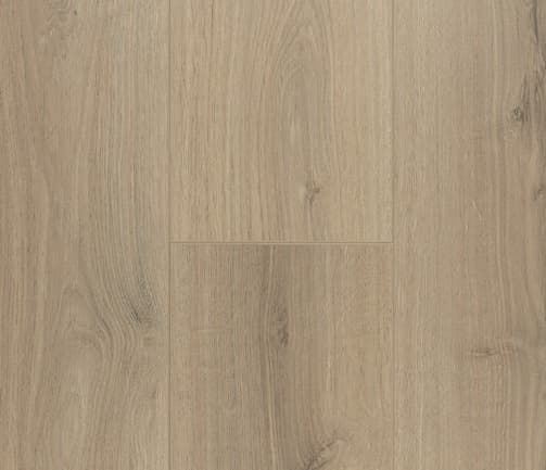 Pinaco selection 12mm/Laminate — Gris