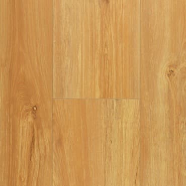 Pinaco Delication /Laminate — Kinawa