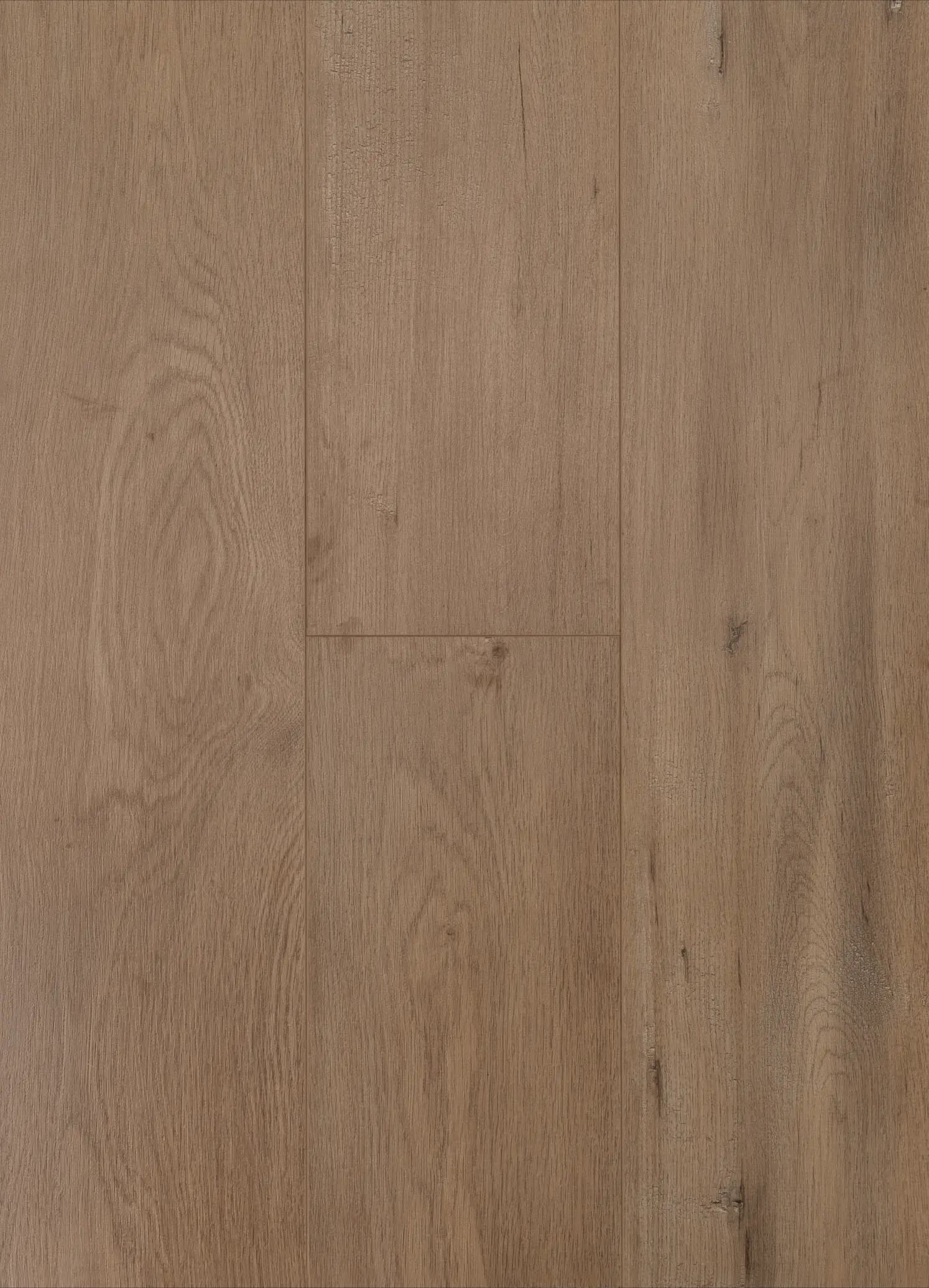 Big panda: laminate 12.3mm — Laminate Vinage12.3mm