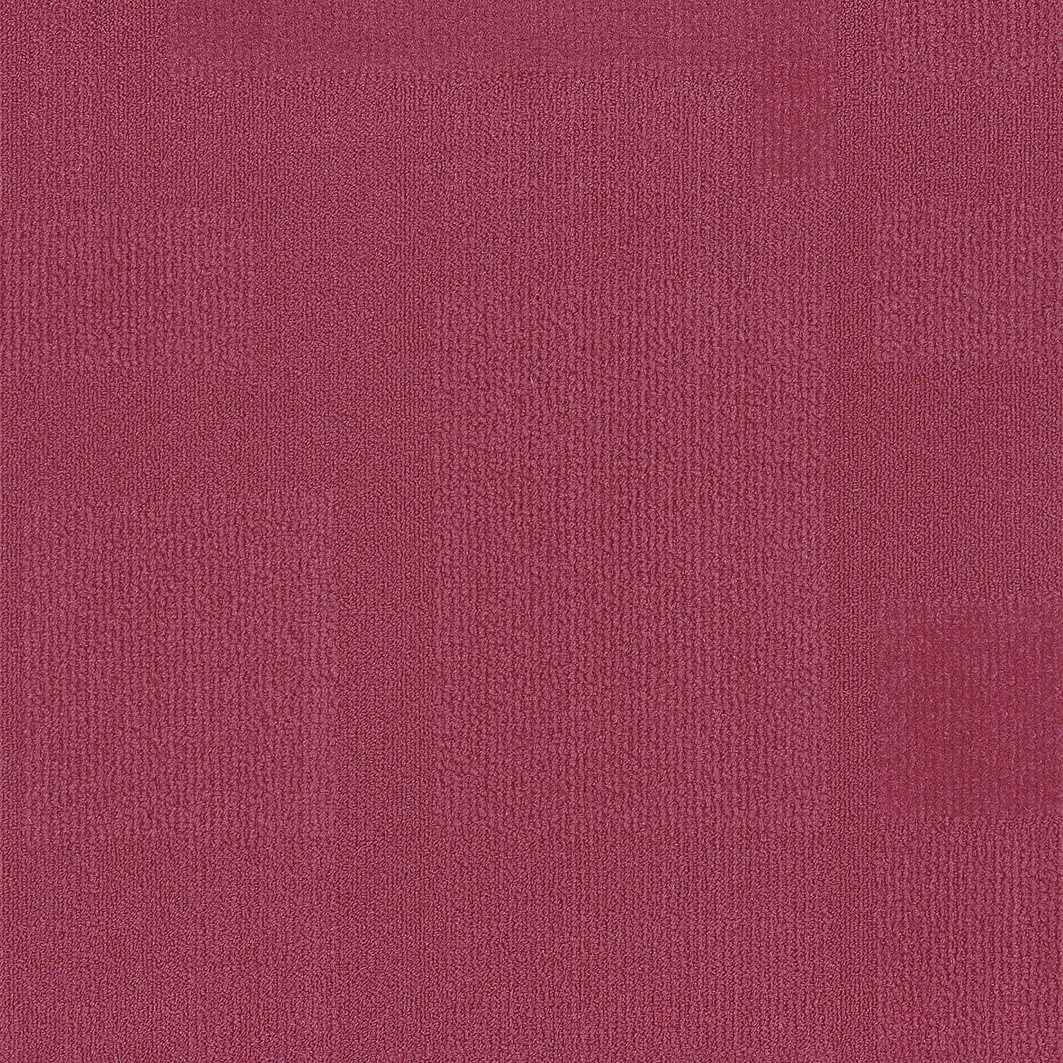 Paragon Collection — MAROON 10 1