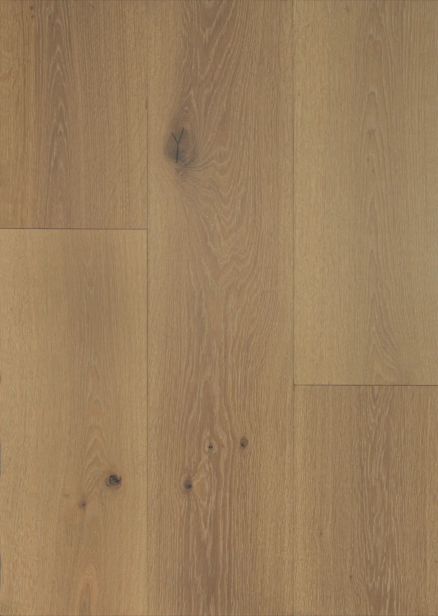 Big panda: 15/2 MM Engineered Hardwood — Maple Caramel