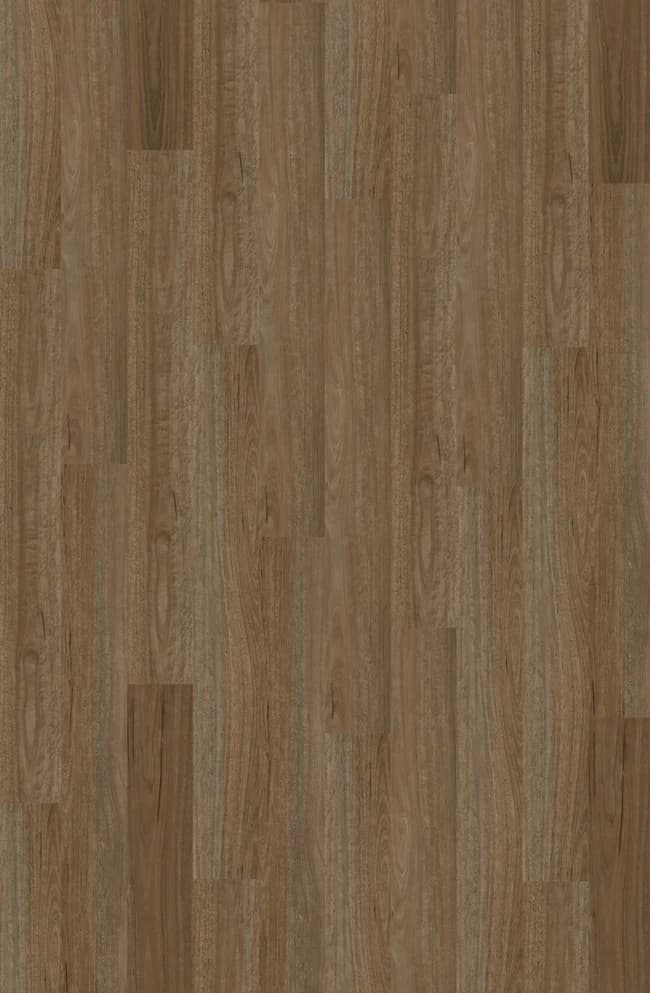 Armstrong: Natural Creations ArborArt — MorningSpottedGum 650x