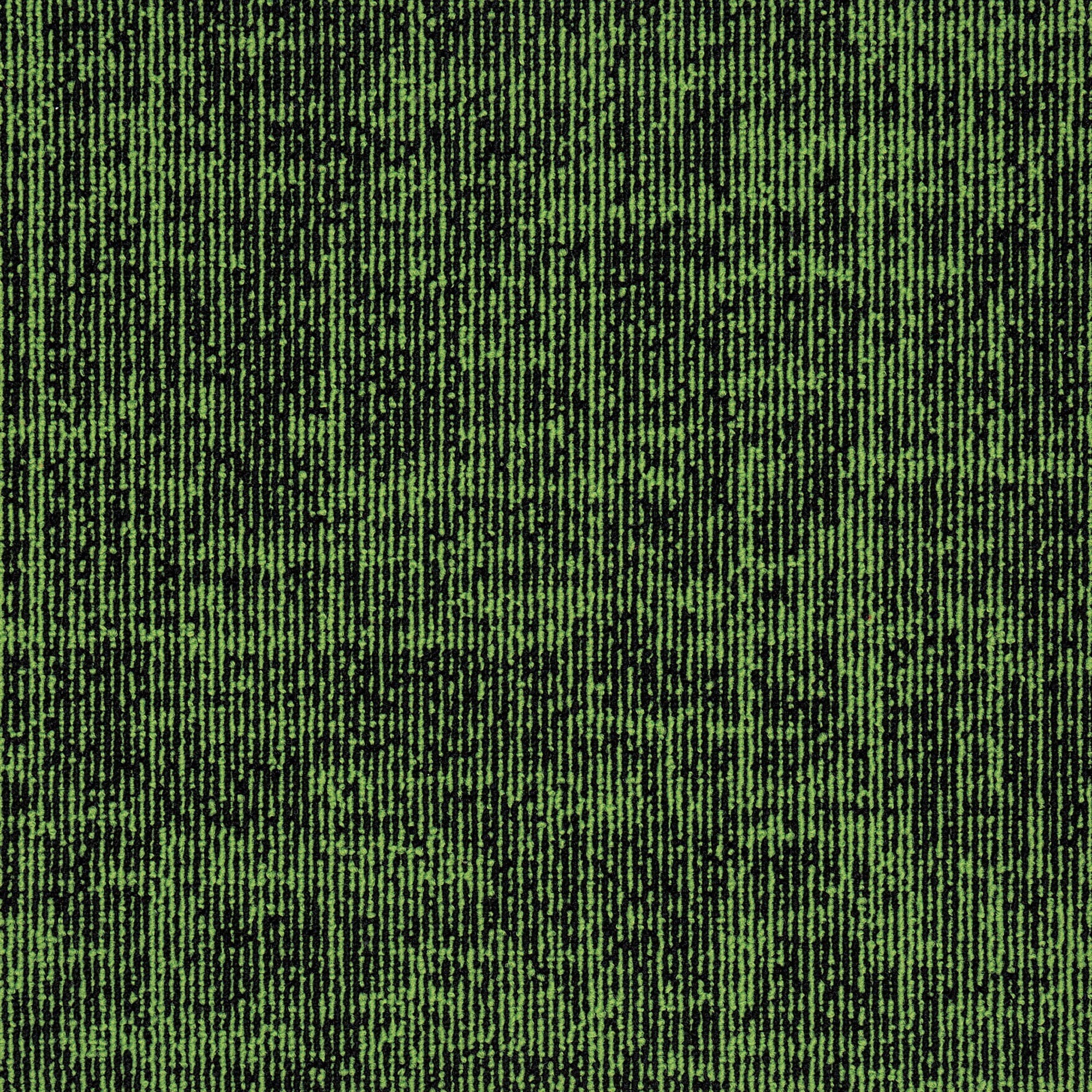 Lakeside — Moss