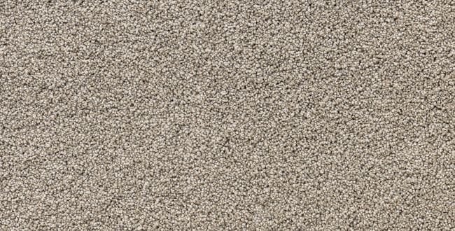 Advantage: Mega star — Mushroom 650x330 1