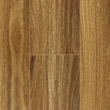 Australian Species HD series — NSW Spotted Gum