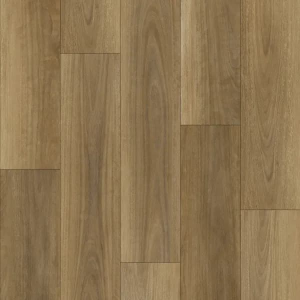 Ornato Grande 9.0 — Northern Spotted Gum Swatch
