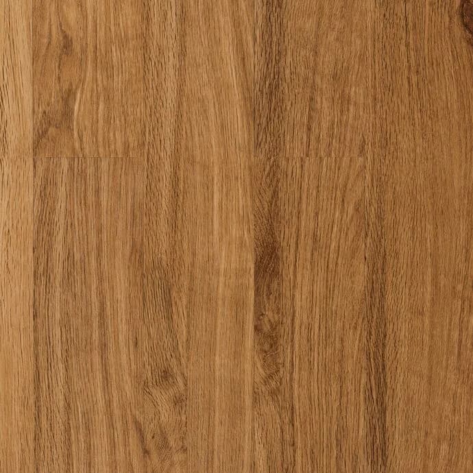 polyflor : studioflor vinyl plank — Oak Classic