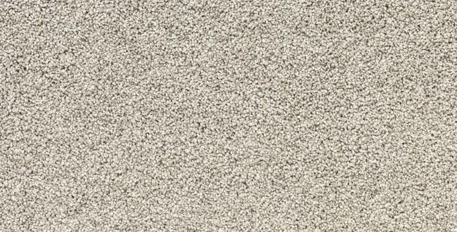 Advantage: Mega star — Oatmeal 650x330 1
