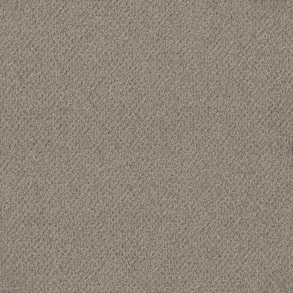 Bourkesgate — Paroo
