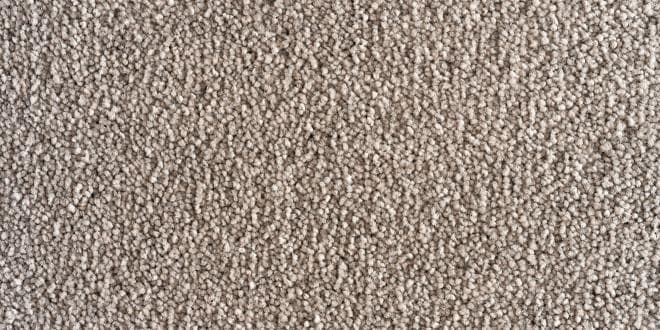 Advantage: Salsa — Pewter Grey 660x330 1