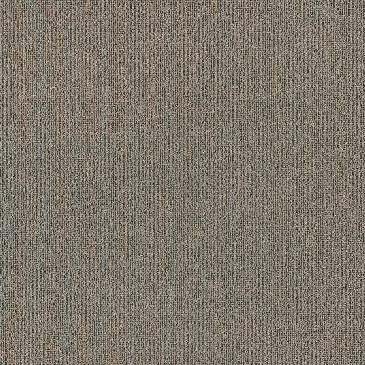 Elegance — Putty