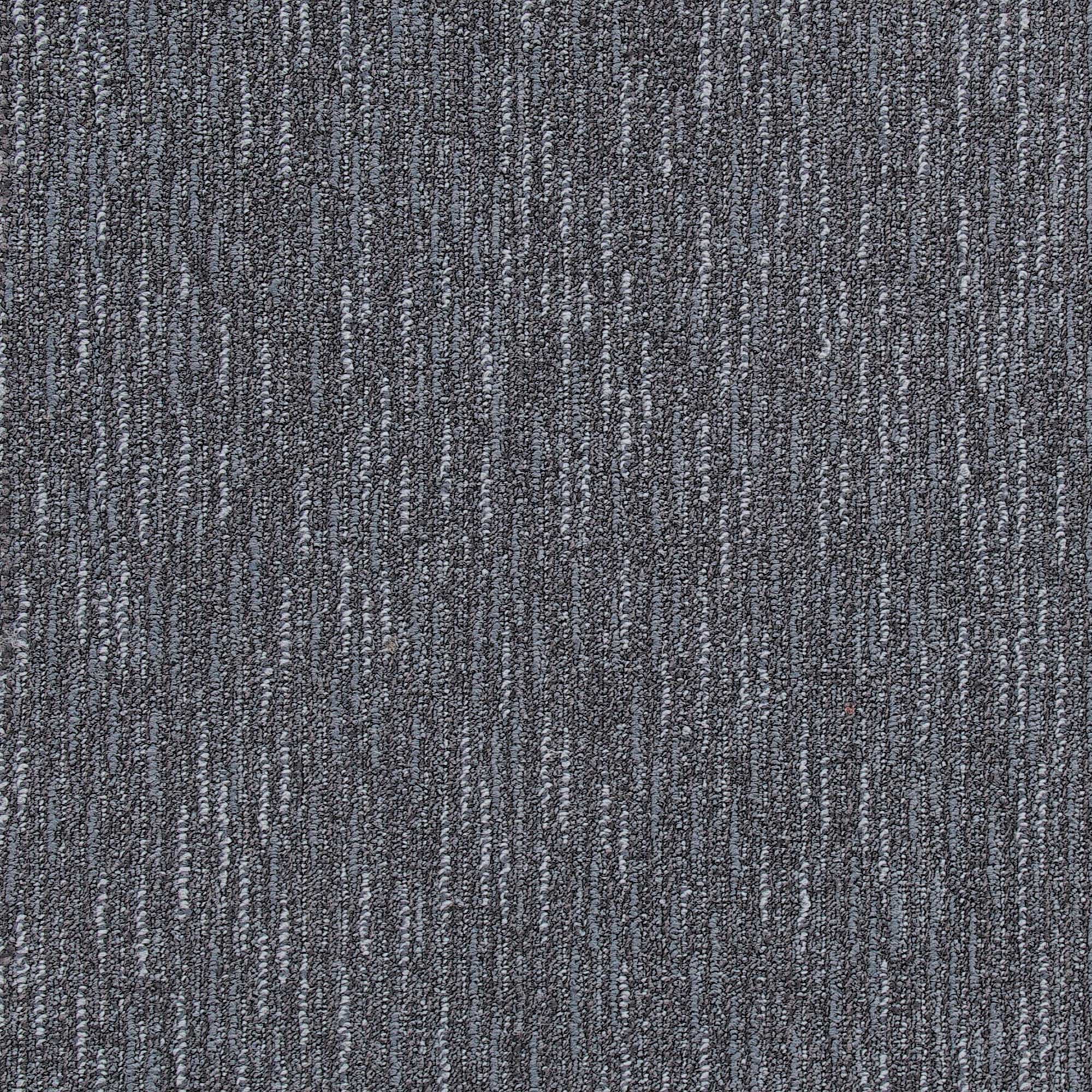 Altitude Collection — Ridge
