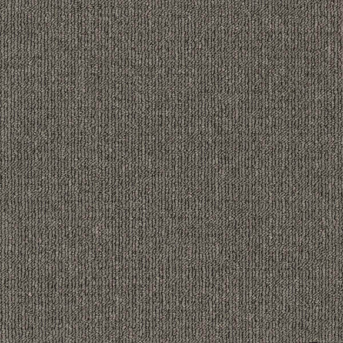 Savanna — Savanna Cottonwood 2938