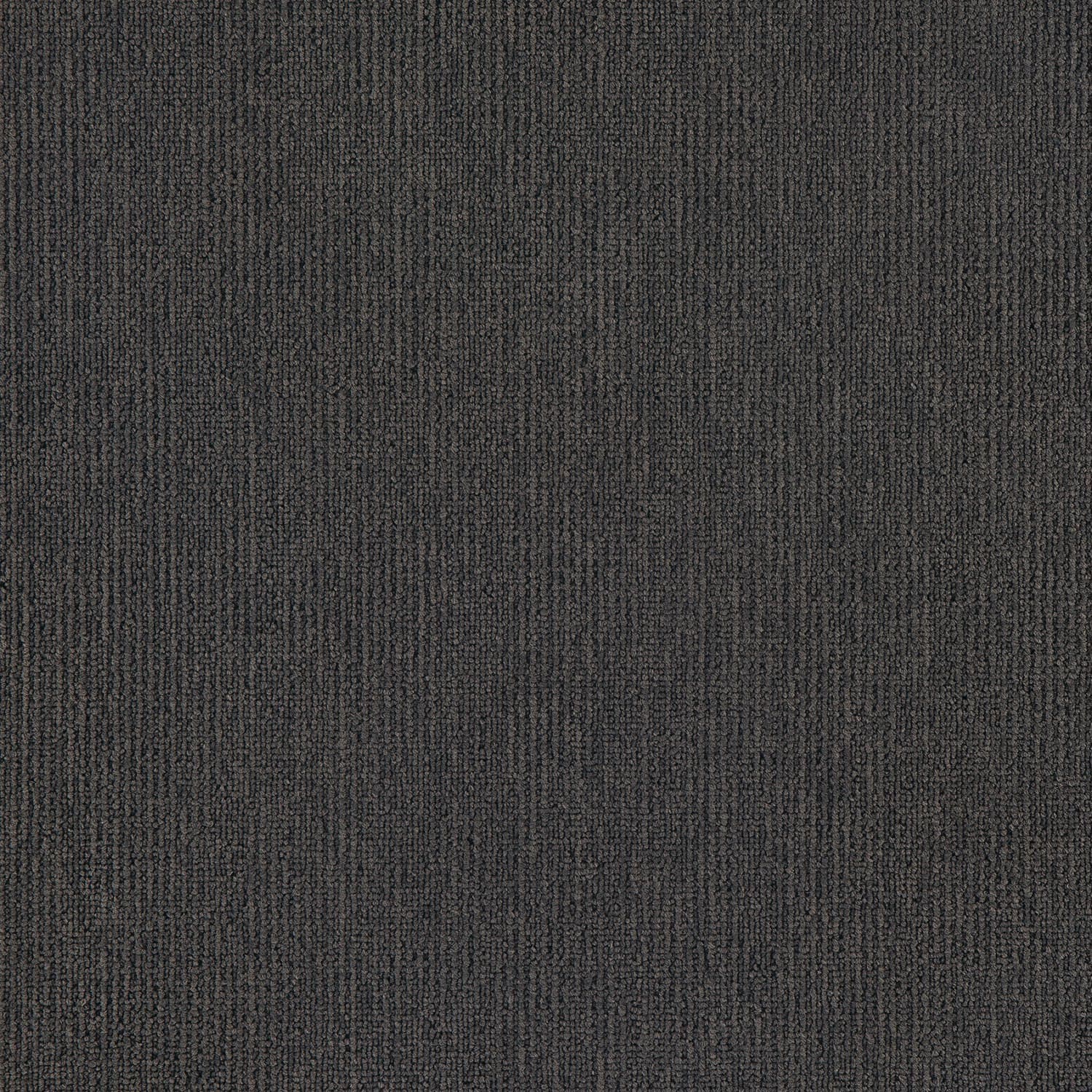 Elegance — Shale