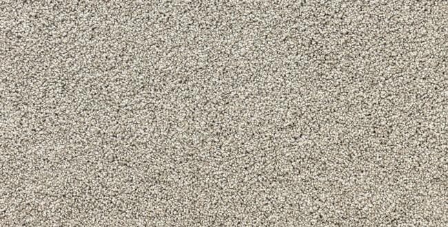 Advantage: Mega star — Shoreliner 650x330 1