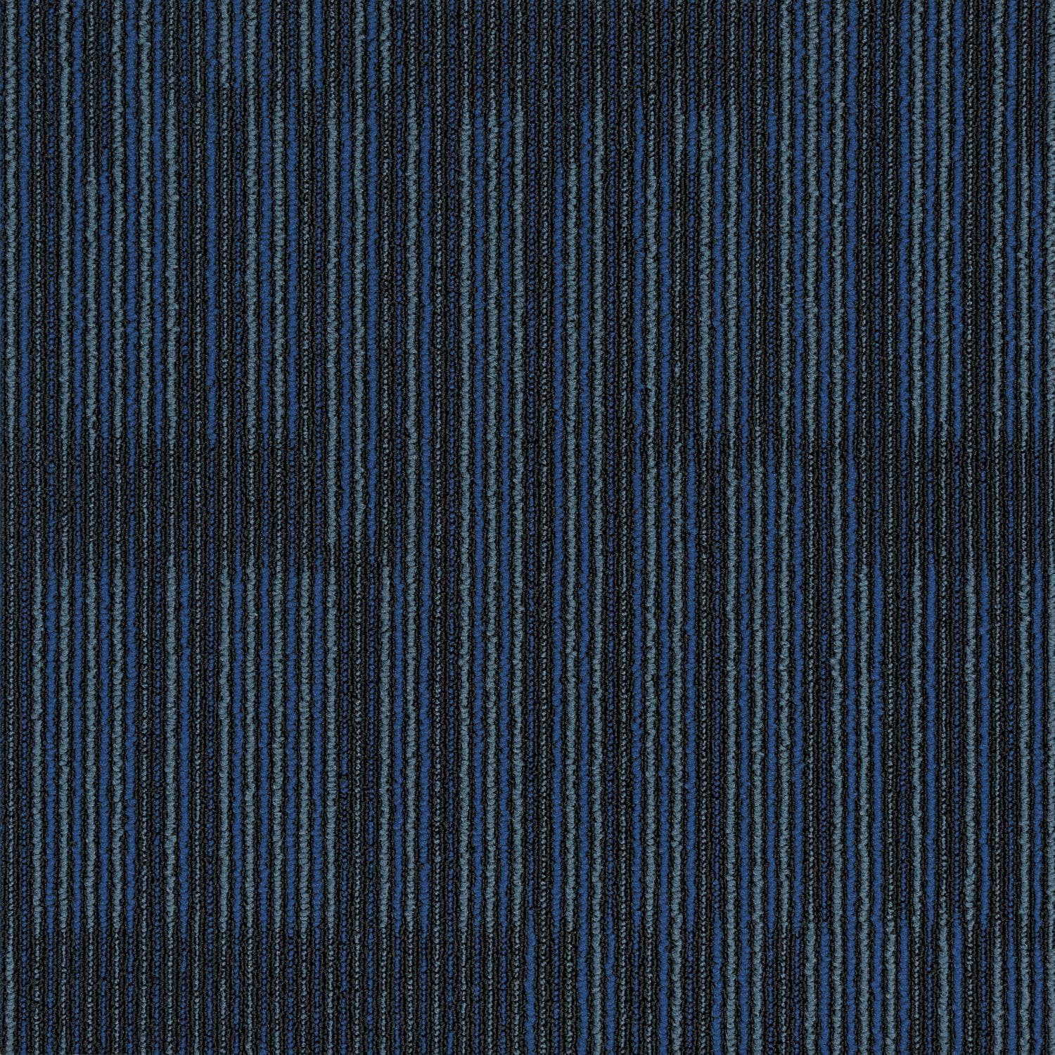 Sierra Collection — Sierra Cobalt 1sm