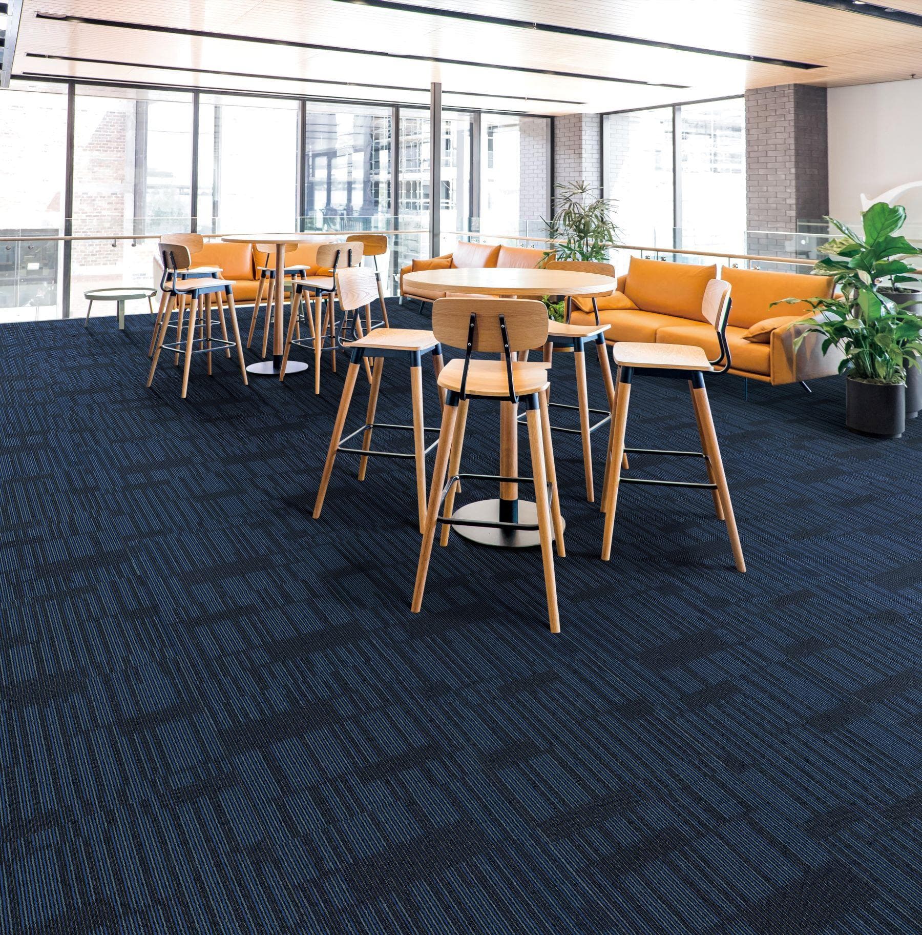 Sierra Collection — Sierra Cobalt Web