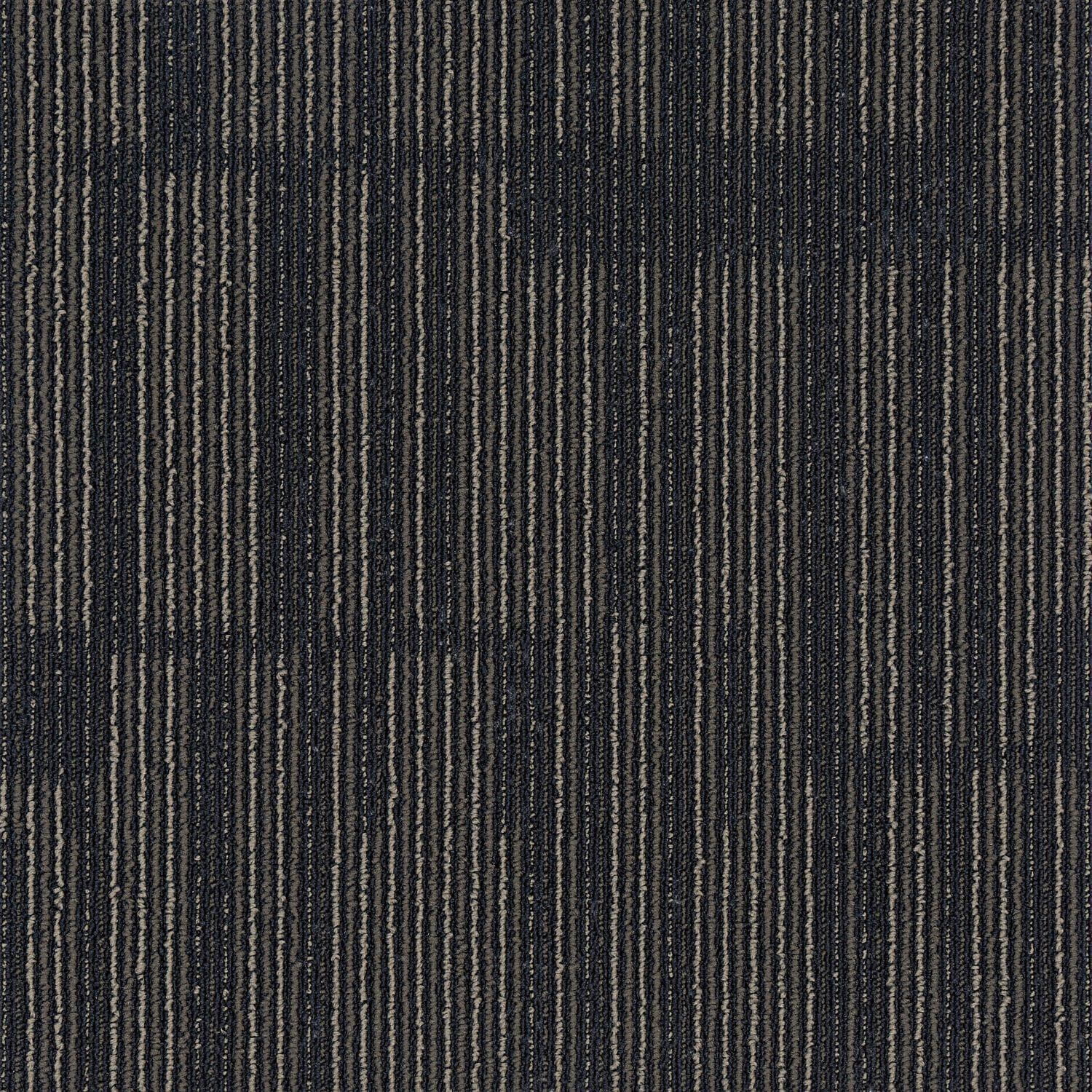 Sierra Collection — Sierra Paperbark 1sm