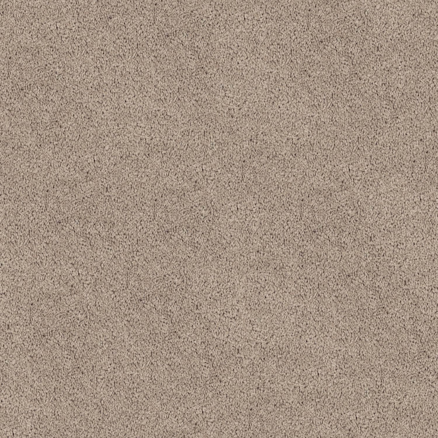 spring Shades — Spring Shades 11 Soapstone